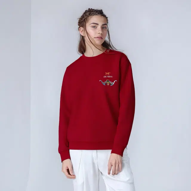 Arcteryx Emblem logo