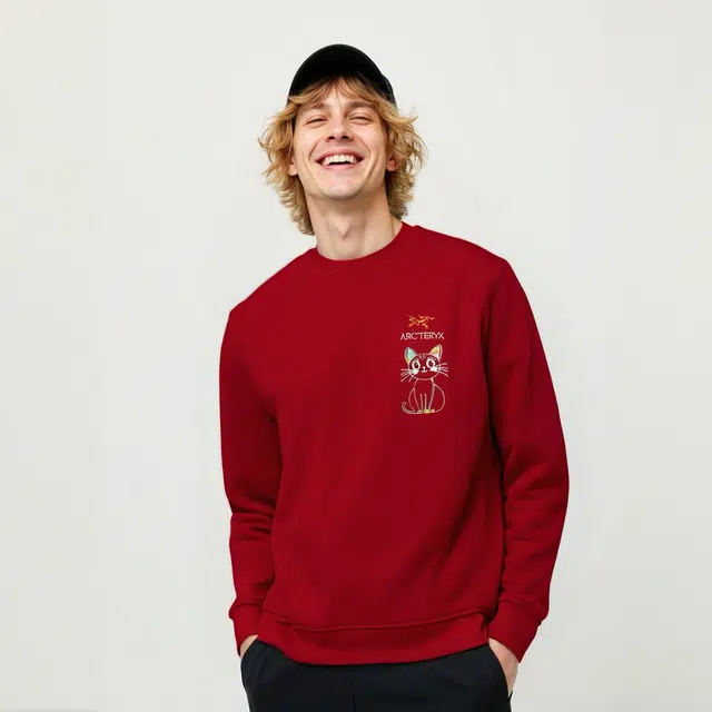 Arcteryx Emblem logo