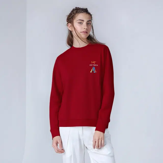 Arcteryx Emblem Alogo