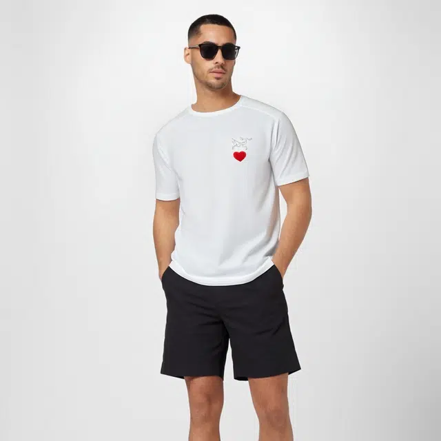 Arcteryx KRAGG logoT