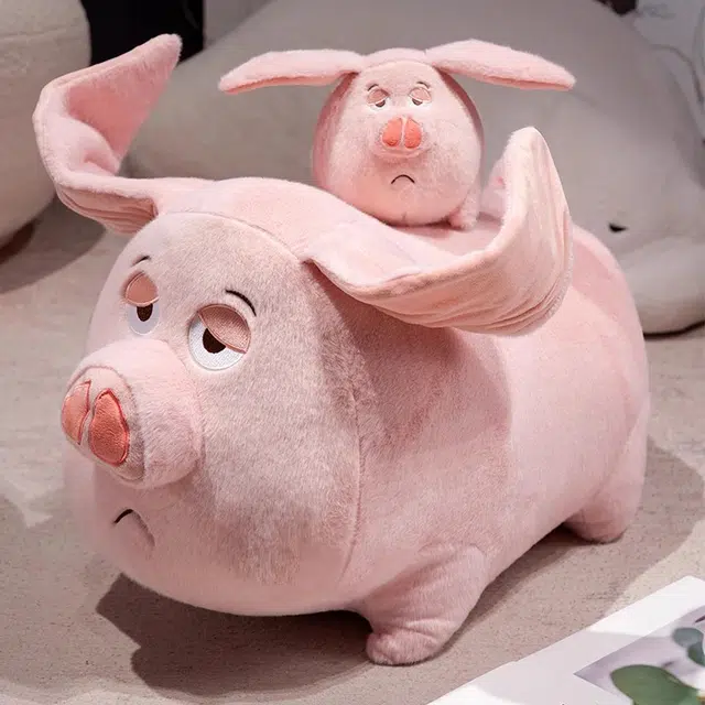 25cm40cm60cm