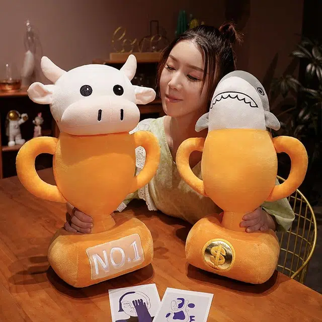 40cm50cm