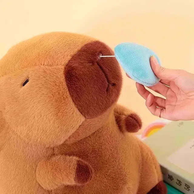 25cm30cm40cm50cm