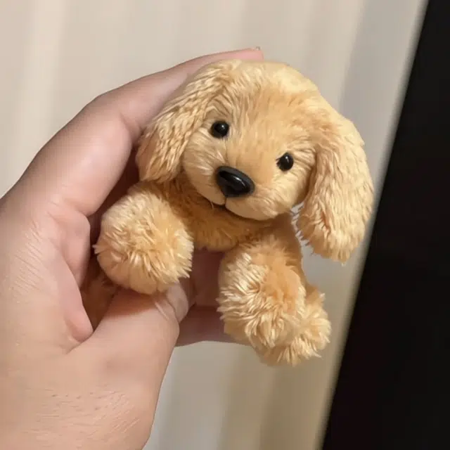 10cm