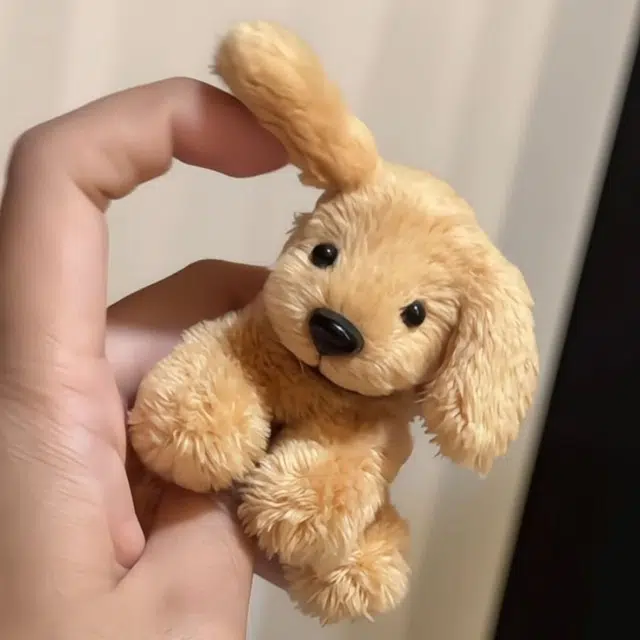 10cm