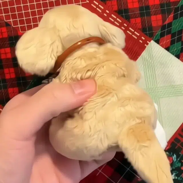 10cm