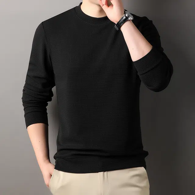 卡丹狄诺  泡泡华夫格春秋季质感长袖圆领打底衫男卫衣 男款