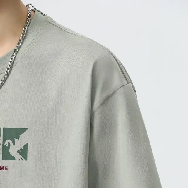 VNHP T