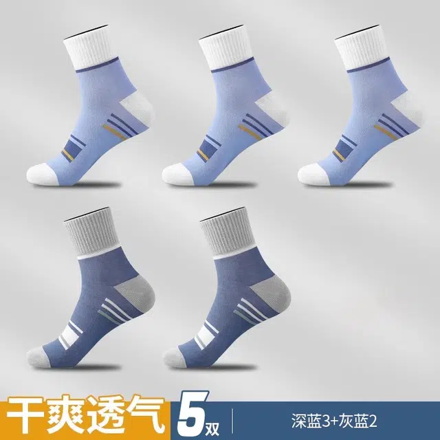 TLXT 5