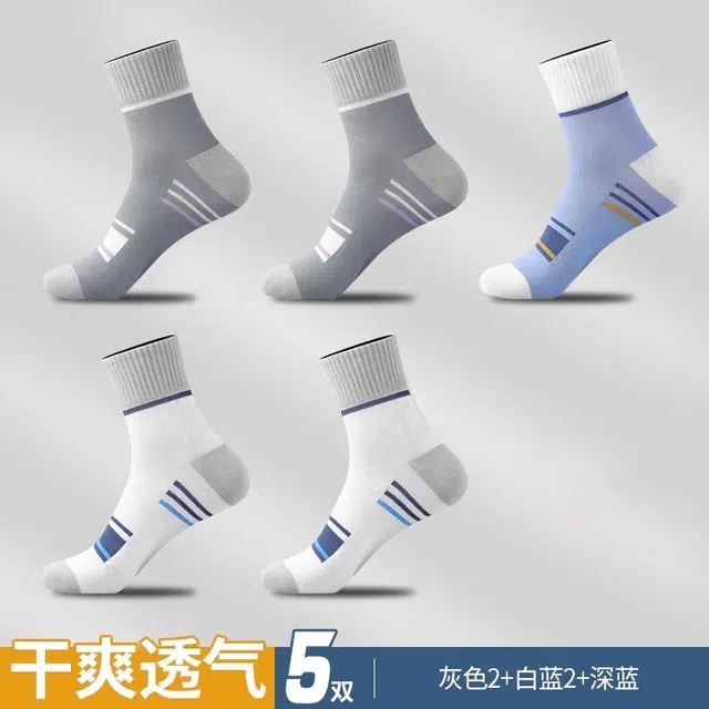 TLXT 5
