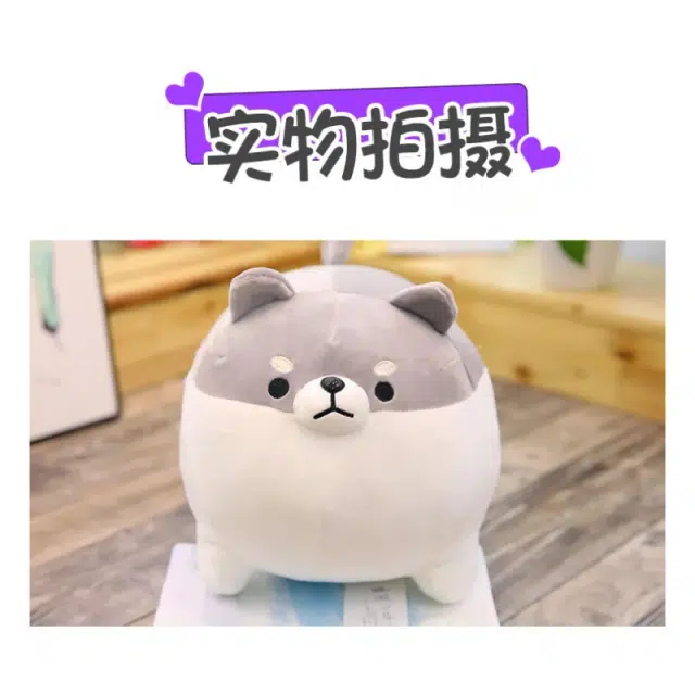 40cm