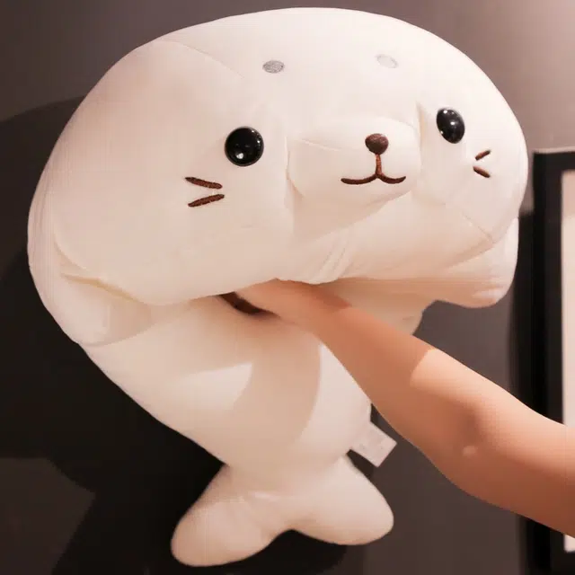 50cm