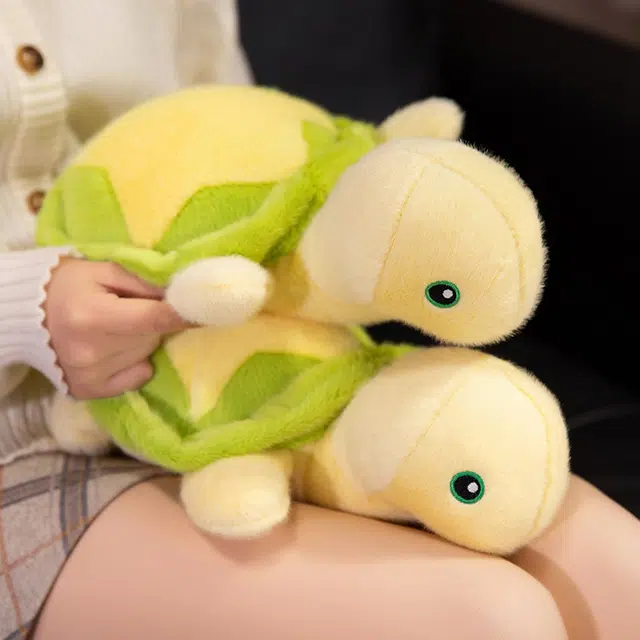 25cm