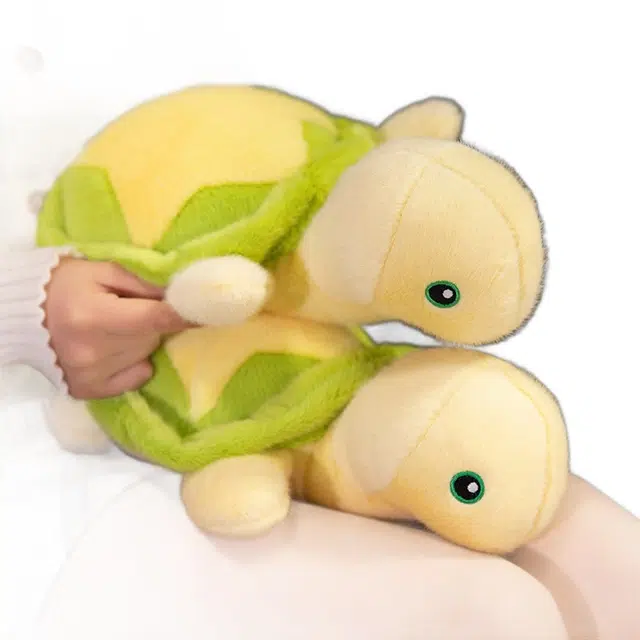 25cm