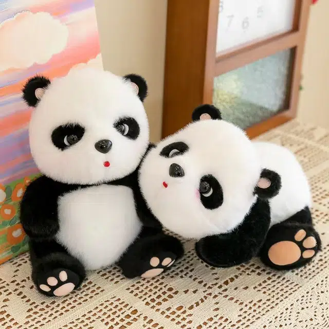 25cm30cm