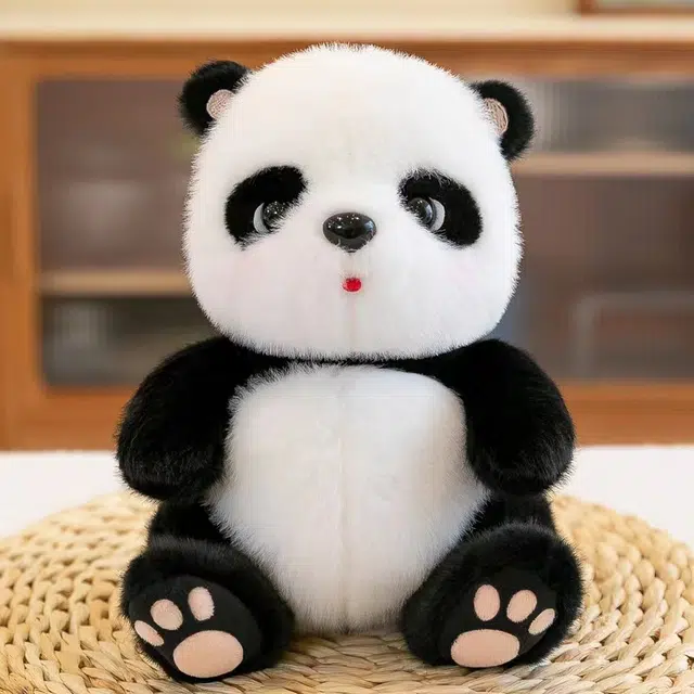 25cm30cm