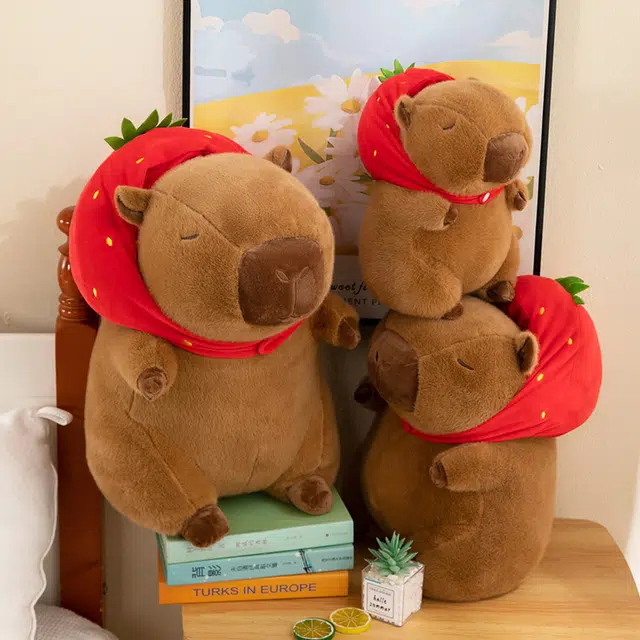 35cm55cm95cm