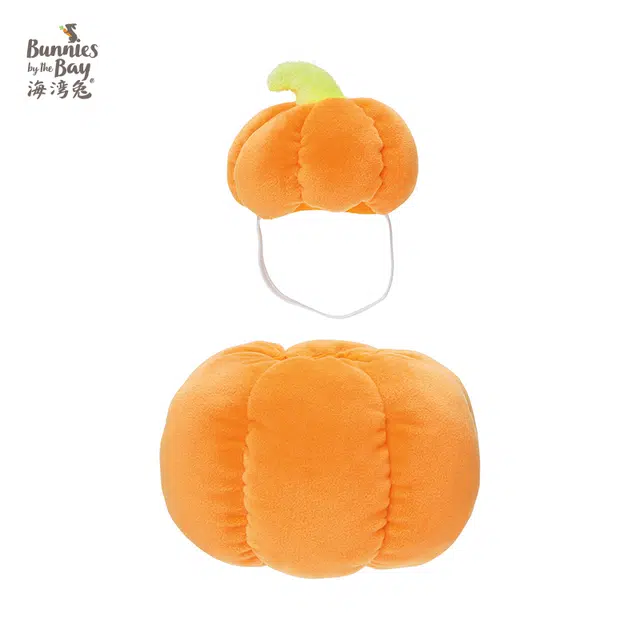 26cm