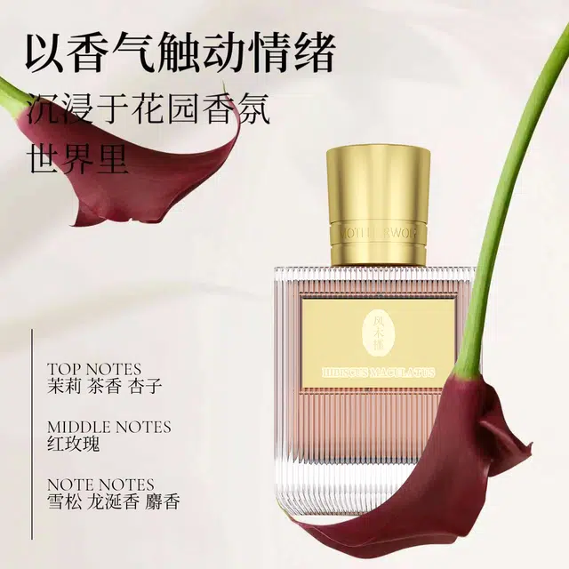 EDT