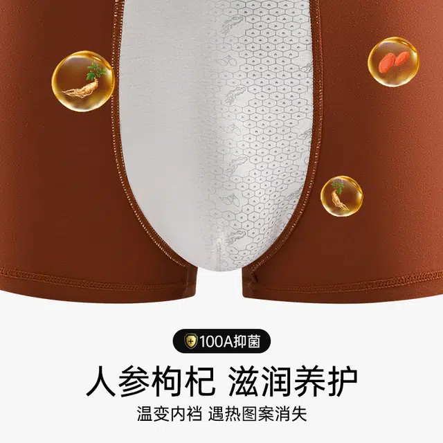 北极绒 纯棉抑菌四角裤头亲肤柔软贴合高弹舒适透气不夹臀平角内裤 男款