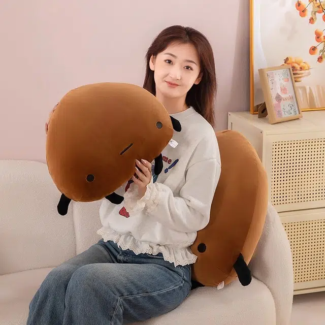 45cm65cm
