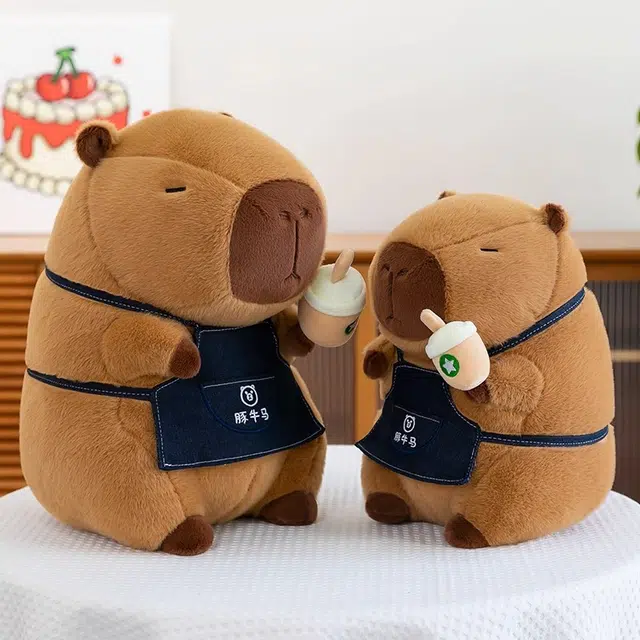 25cm30cm40cm50cm