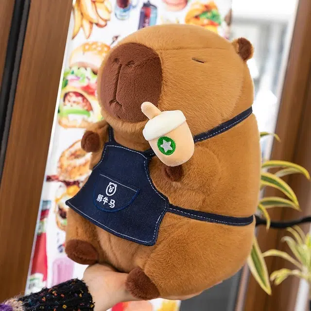 25cm30cm40cm50cm