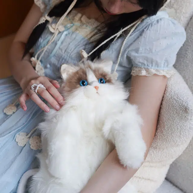 麦扣羊 布偶猫包 仿真宠物 玩偶周边