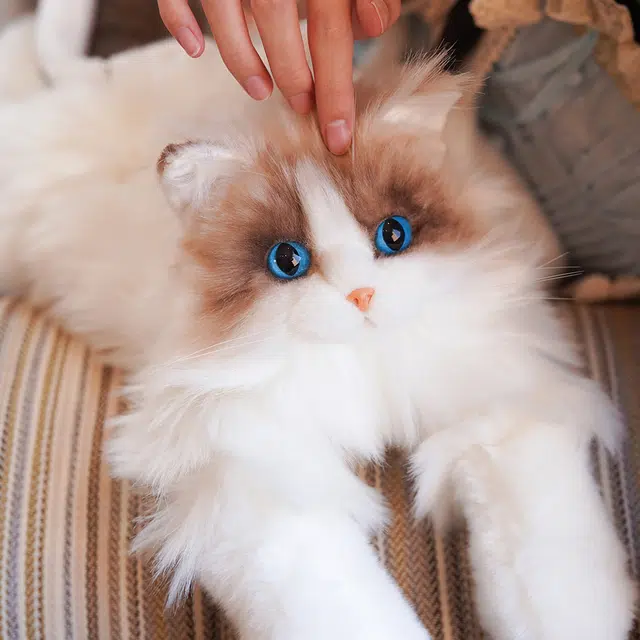 麦扣羊 布偶猫包 仿真宠物 玩偶周边