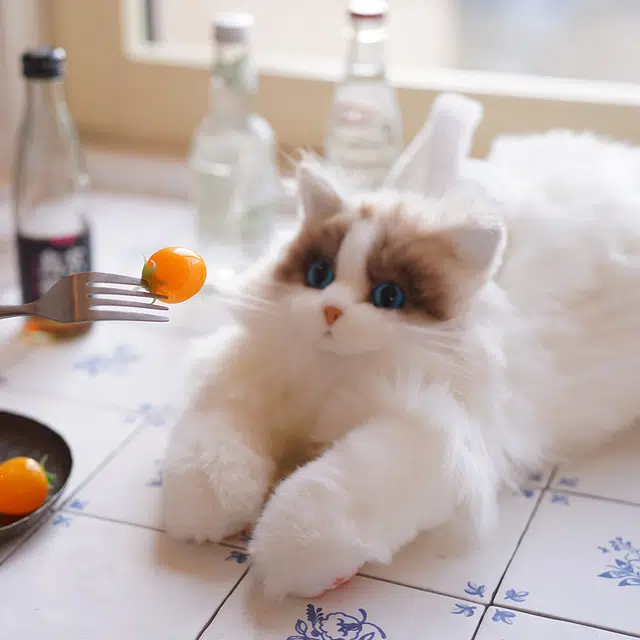 麦扣羊 布偶猫包 仿真宠物 玩偶周边