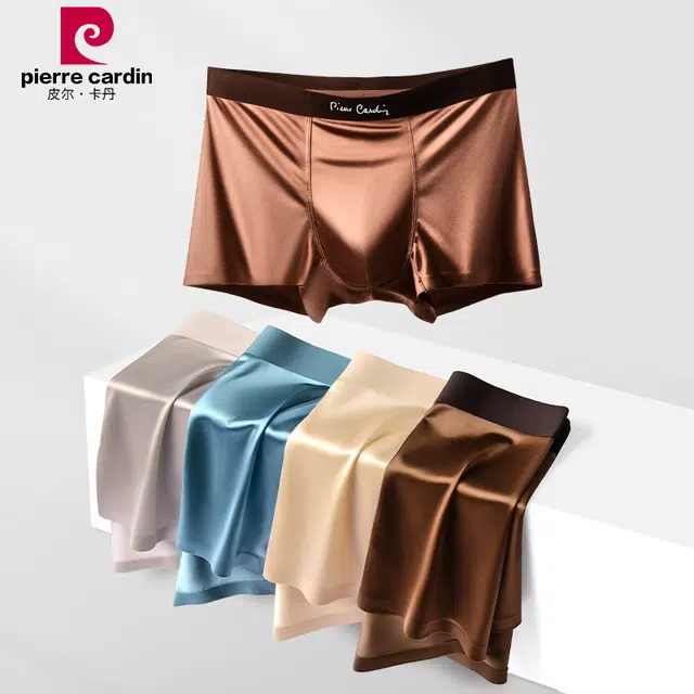 PIERRE CARDIN 10A
