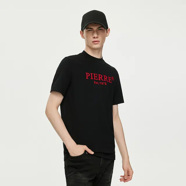 PP PIERRE PIERUCCI LOGOT