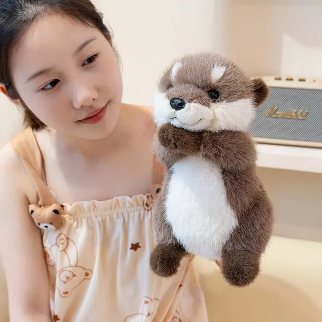 25cm35cm