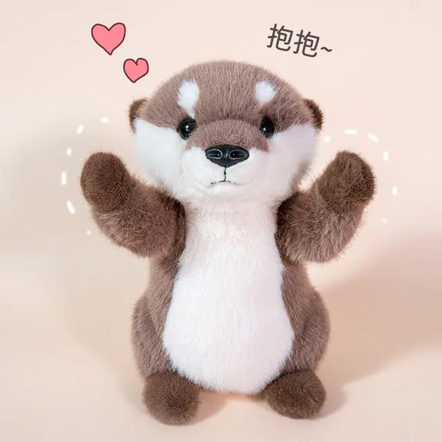25cm35cm