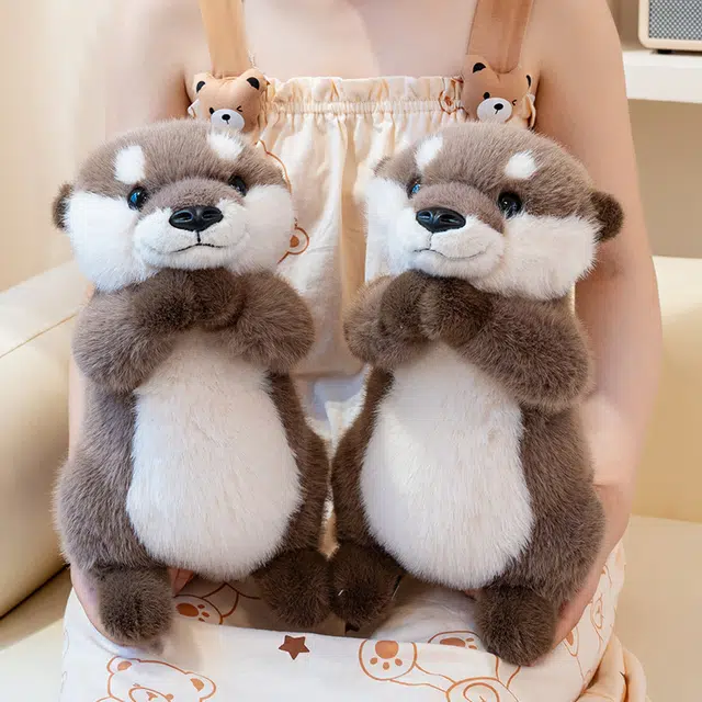 25cm35cm