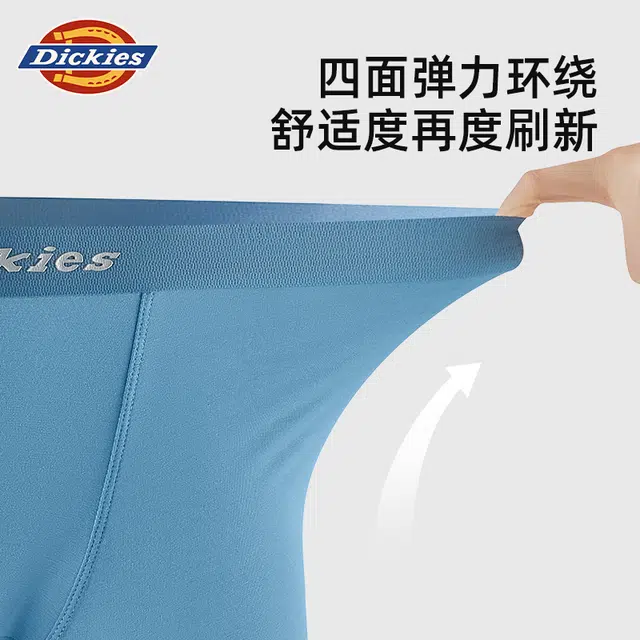 Dickies
