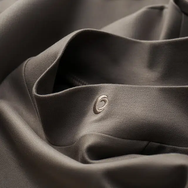 ASSIDUOUS CONFUSED EFFORT 2025T