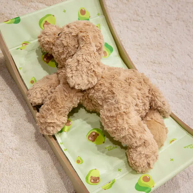 lionf 28cm37cm47cm