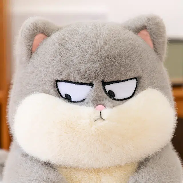 25cm35cm