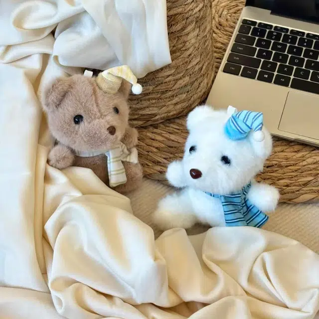 lionf 12cm