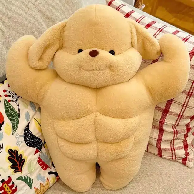 35cm50cm65cm