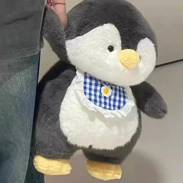 30cm50cm