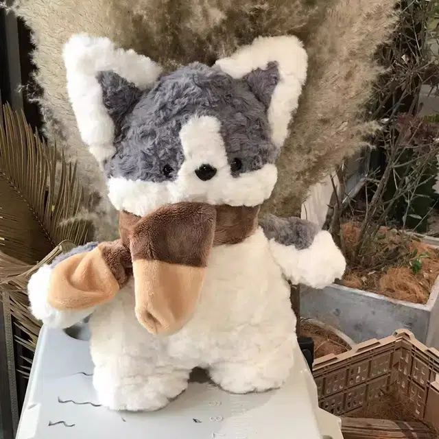 25cm