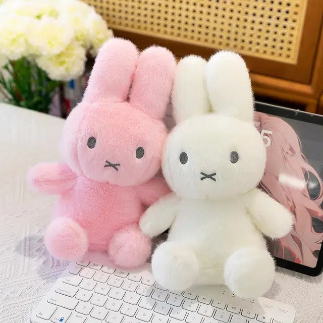 25cm40cm60cm