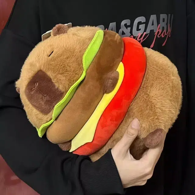 25cm45cm