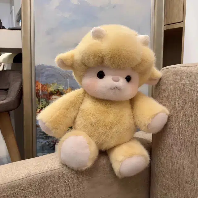 45cm60cm