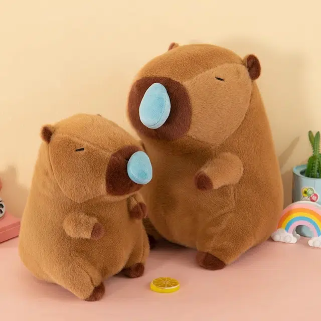 25cm30cm40cm