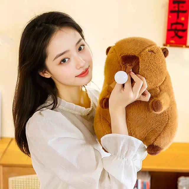 25cm35cm
