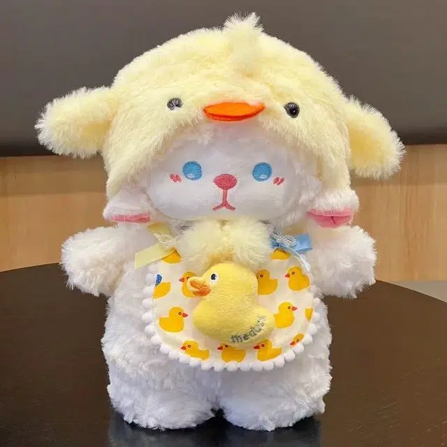 25cm35cm