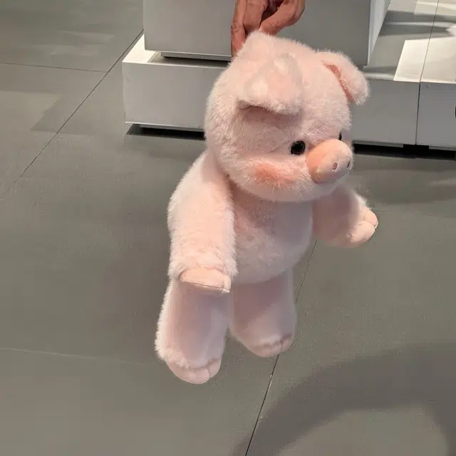 45cm